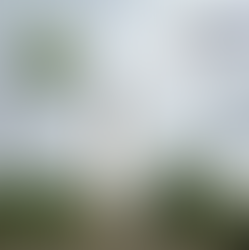 Régimen especial de comercio y beneficios tributarios para zonas de frontera con Brasil - Reglamentación de la Ley 20.419