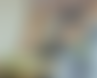 Servicio doméstico - Prima por presentismo