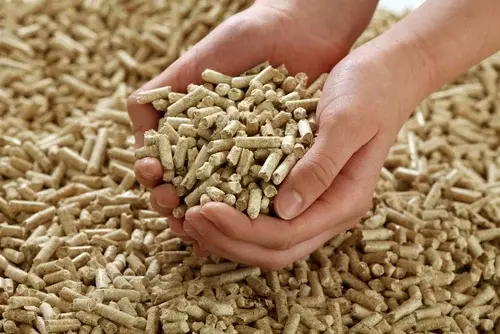 biomass-pellets-500x500.webp