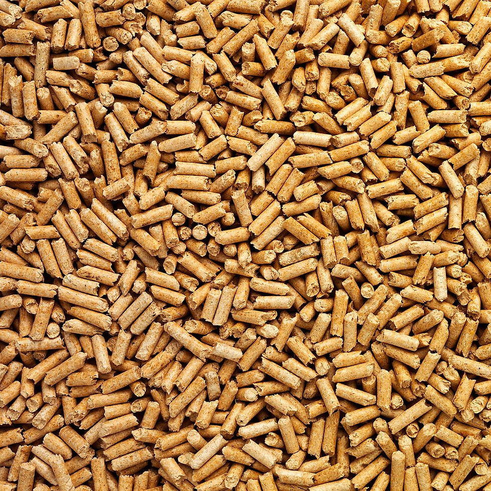 BIOMASS PELLETS.jpeg