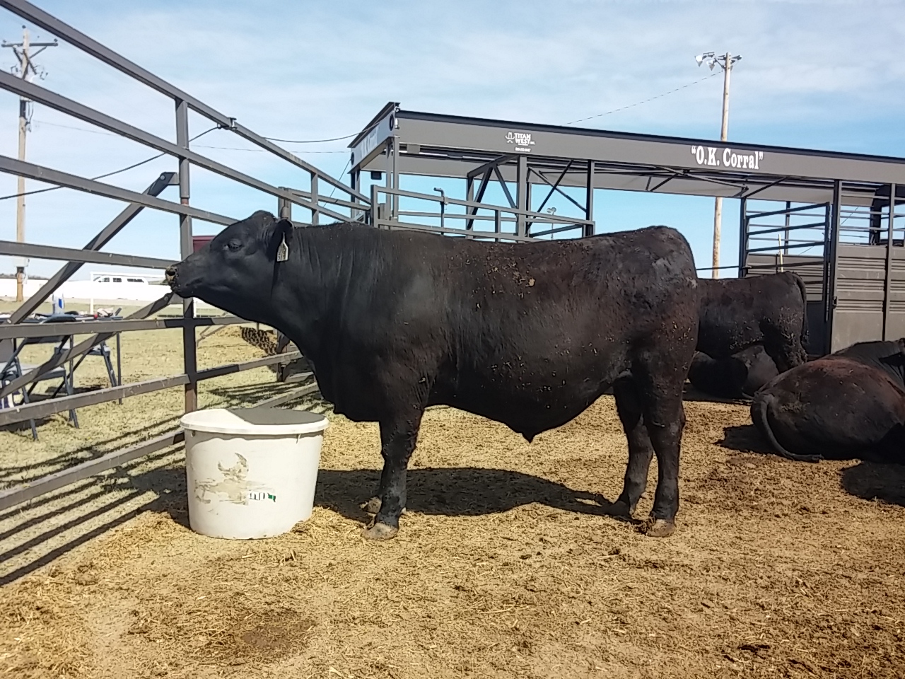 2016 Great Bend Farm & Ranch Show 2