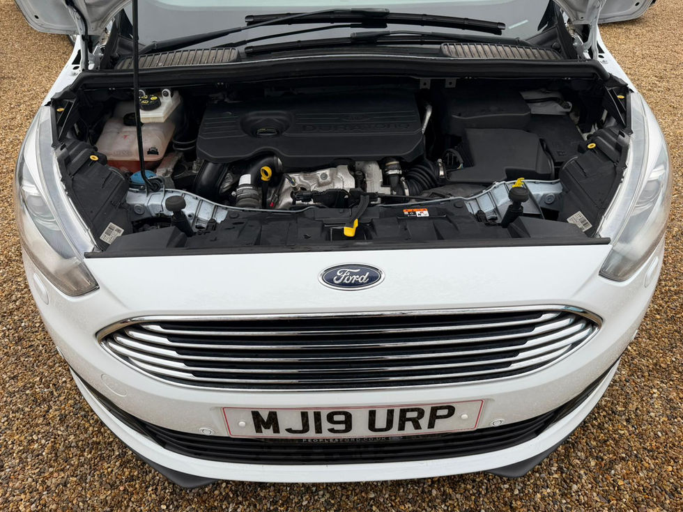 WhatsApp Image 2026-02-20 at 12.22.45