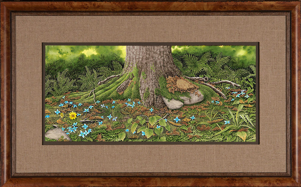 About Us Bob Timberlake