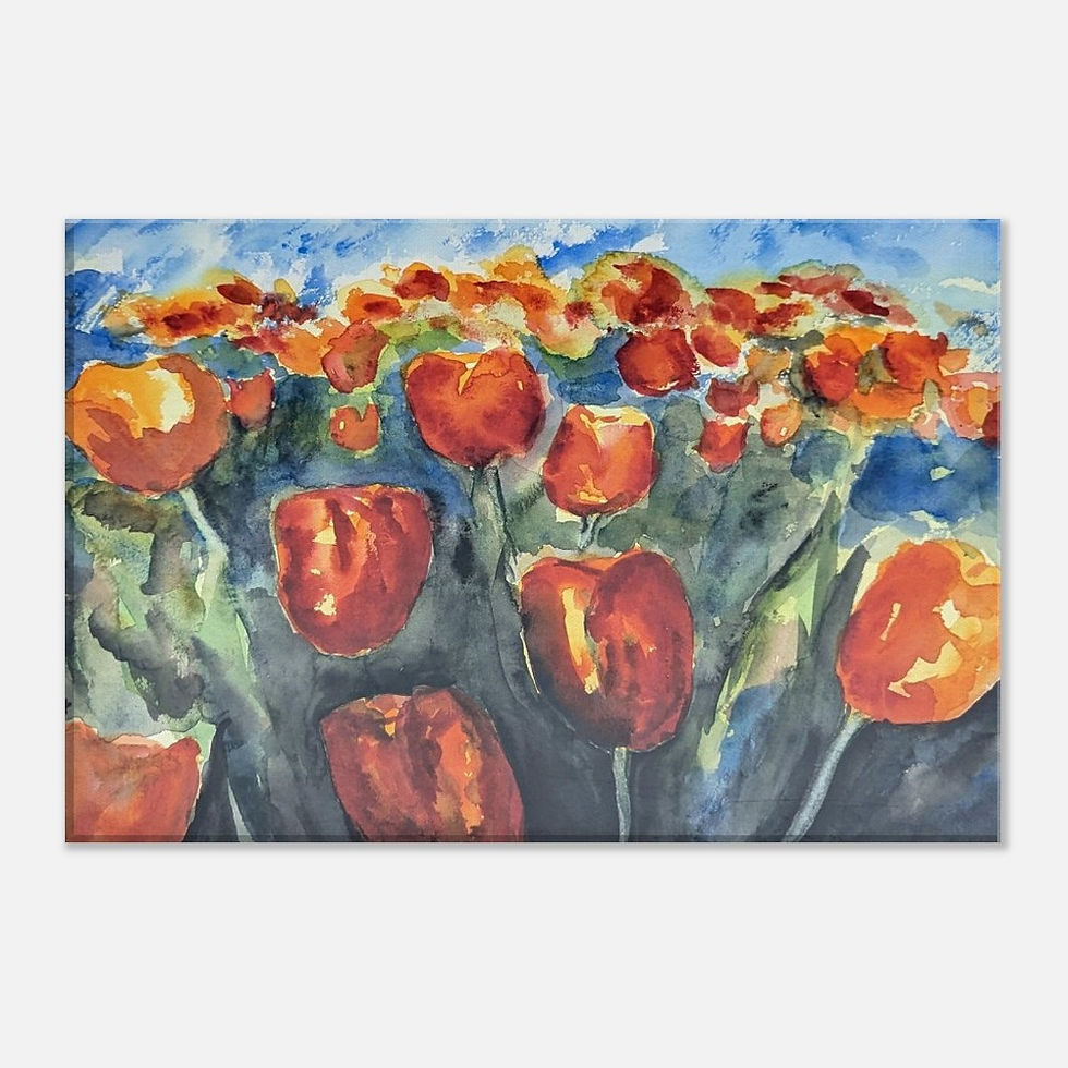 Miniaturbild: Tulpenfeld