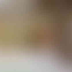 the best private modern villas in Gili Air 