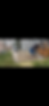 IMG_3839.PNG