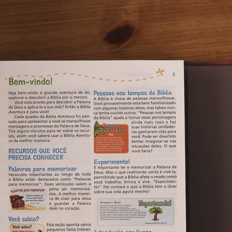 Miniatura: cópia de Bíblia Aventura Para Crianças | NVI | Leitura Perfeita |Capa Dura TIGRE