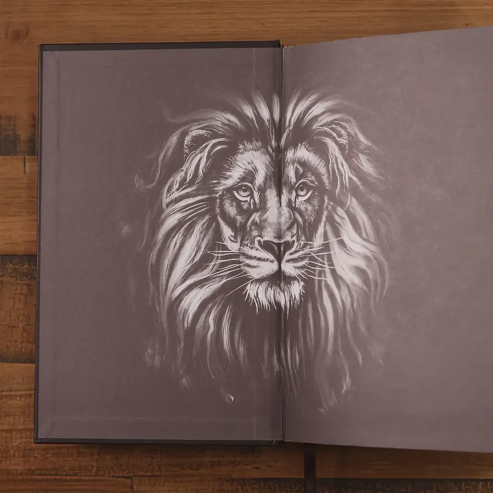 Miniatura: Bíblia Aventura Para Crianças | NVI | Leitura Perfeita | Capa Dura Leão com Fech