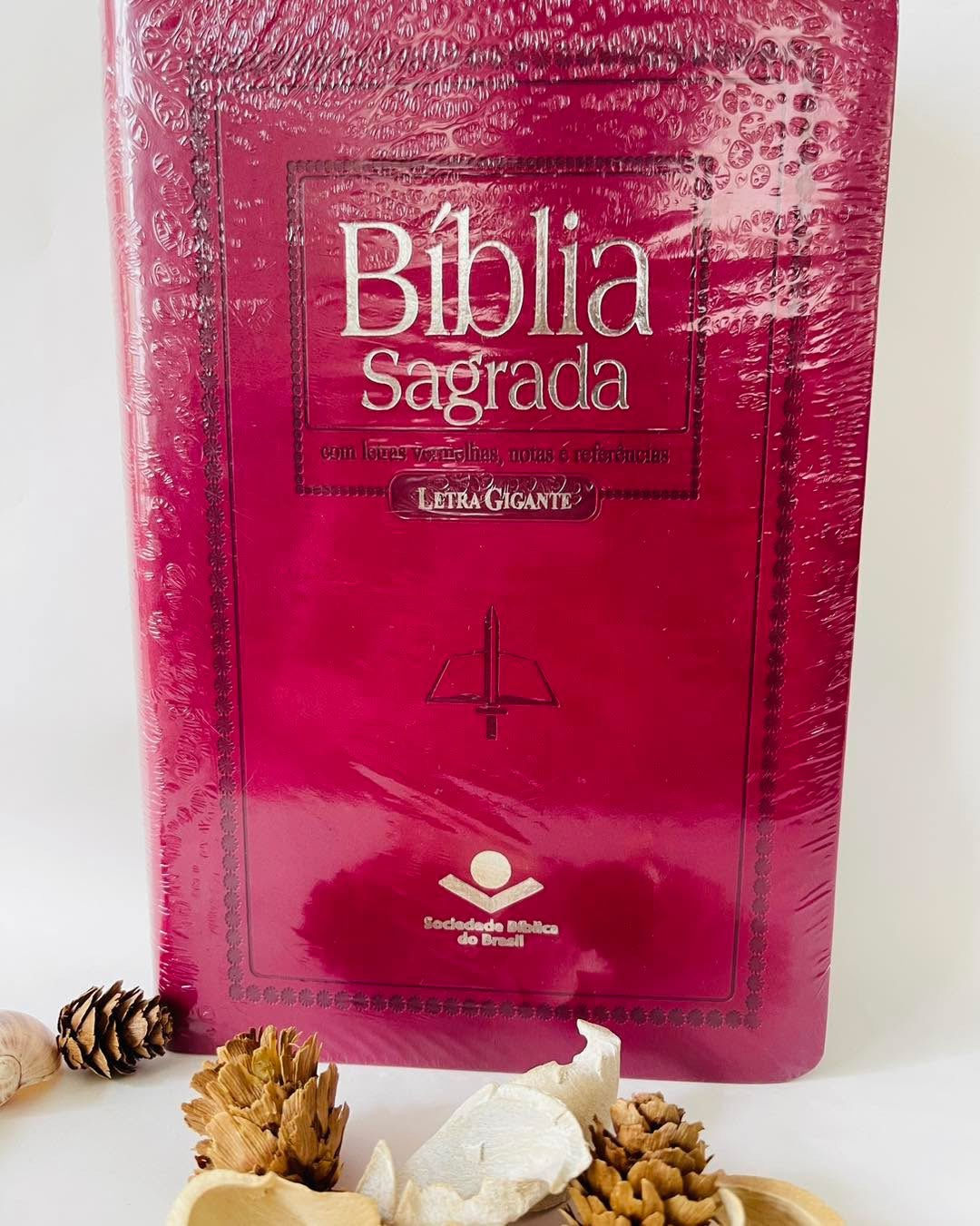 Bíblia Letra Gigante com índice Revista Corrigida Pink