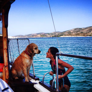 Travel Programs - Private Daily Trips