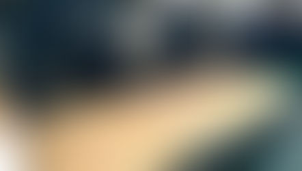 Teak Tree Characteristics