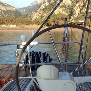 Balık Var mı? Balık?