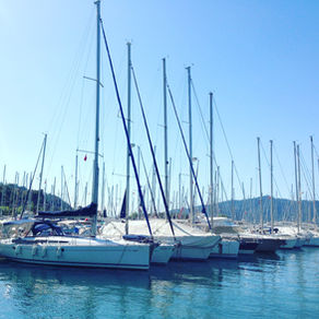 Netsel Marinadayız