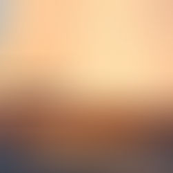 TEMPUS FUGIT For Sale!