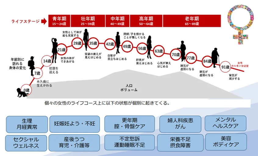 女性 インサイト