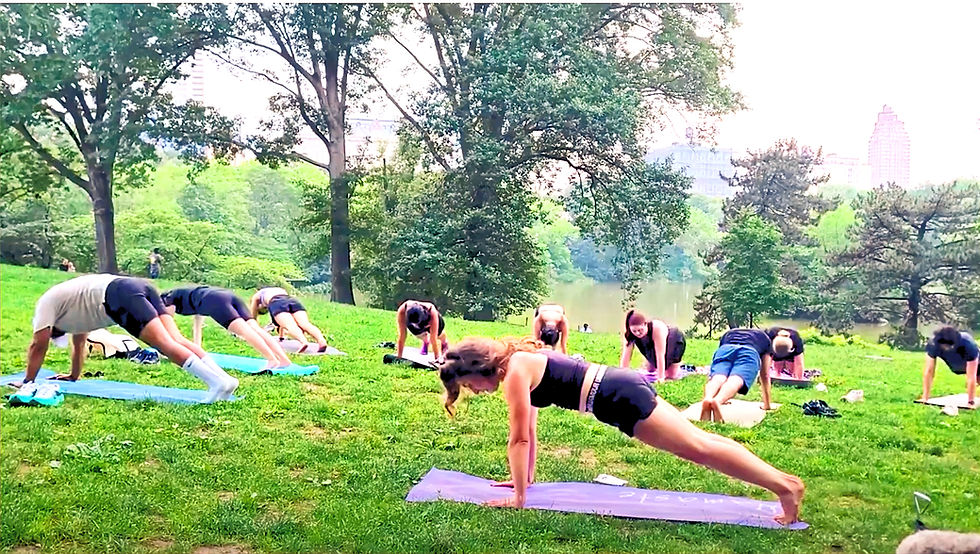 Wide angle view of a Pilates class in Central Park with participants practicing on mats
