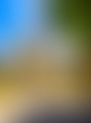 Gourdon : perle médiévale entre Quercy et Périgord