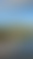 La Cité du Vin : un voyage immersif au cœur de la culture du vin