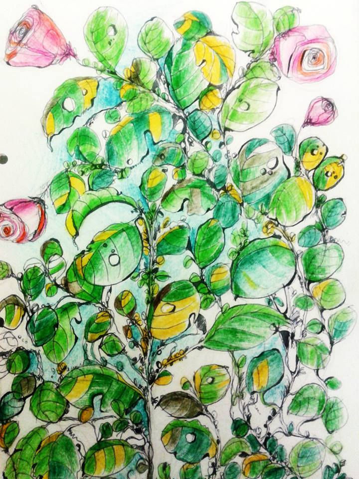nature drawing-04
