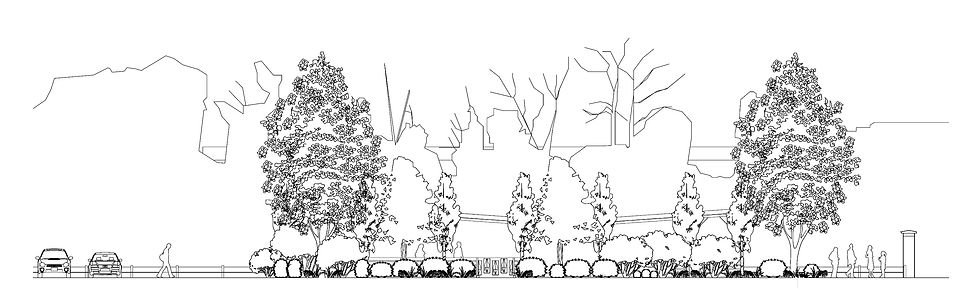 KEW ELEVATION PLANTS SEMI MATURE
