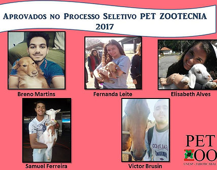 Selecionados em 2017