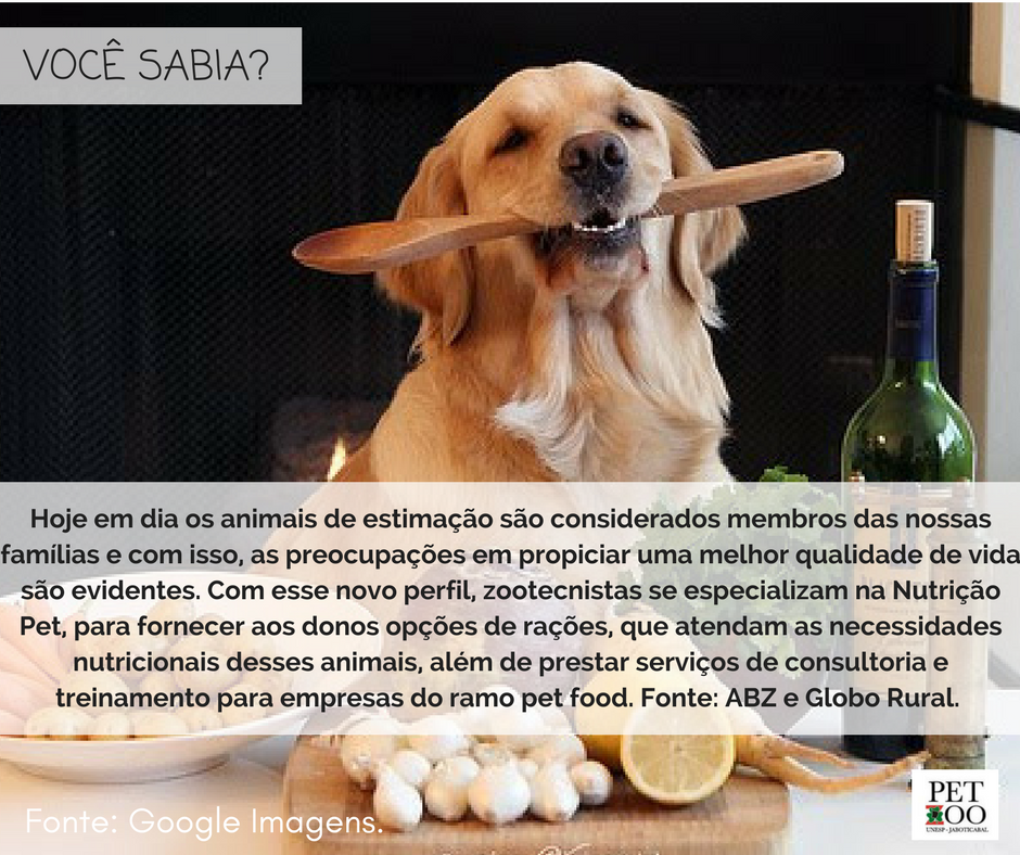 Você Sabia?