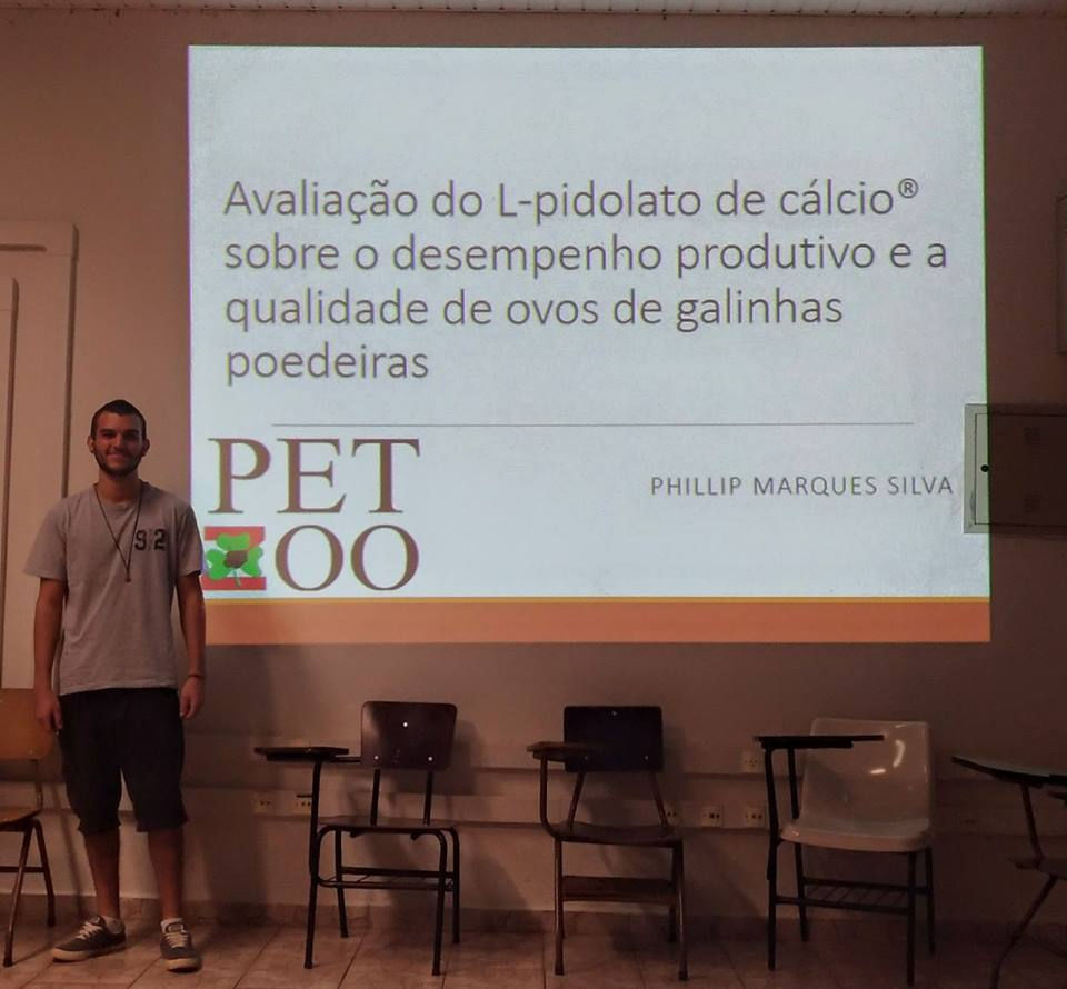 seminario17 4