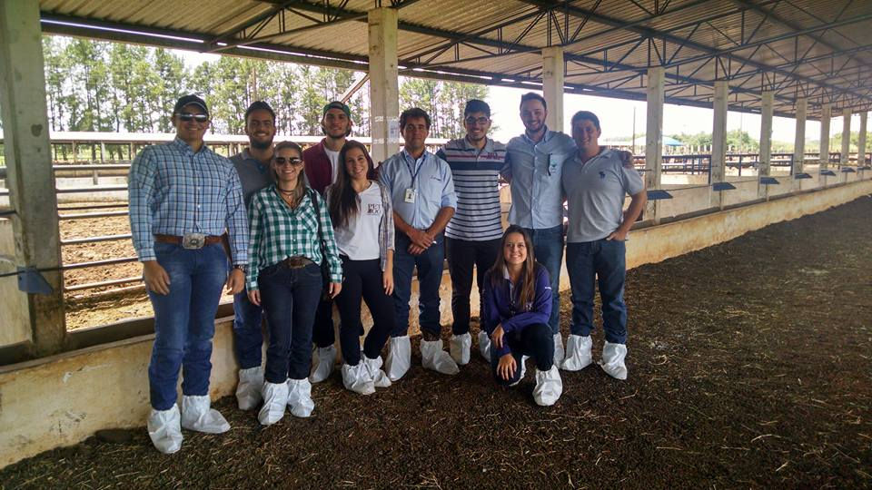 visita tecnica16