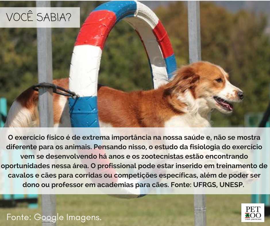 Você Sabia?