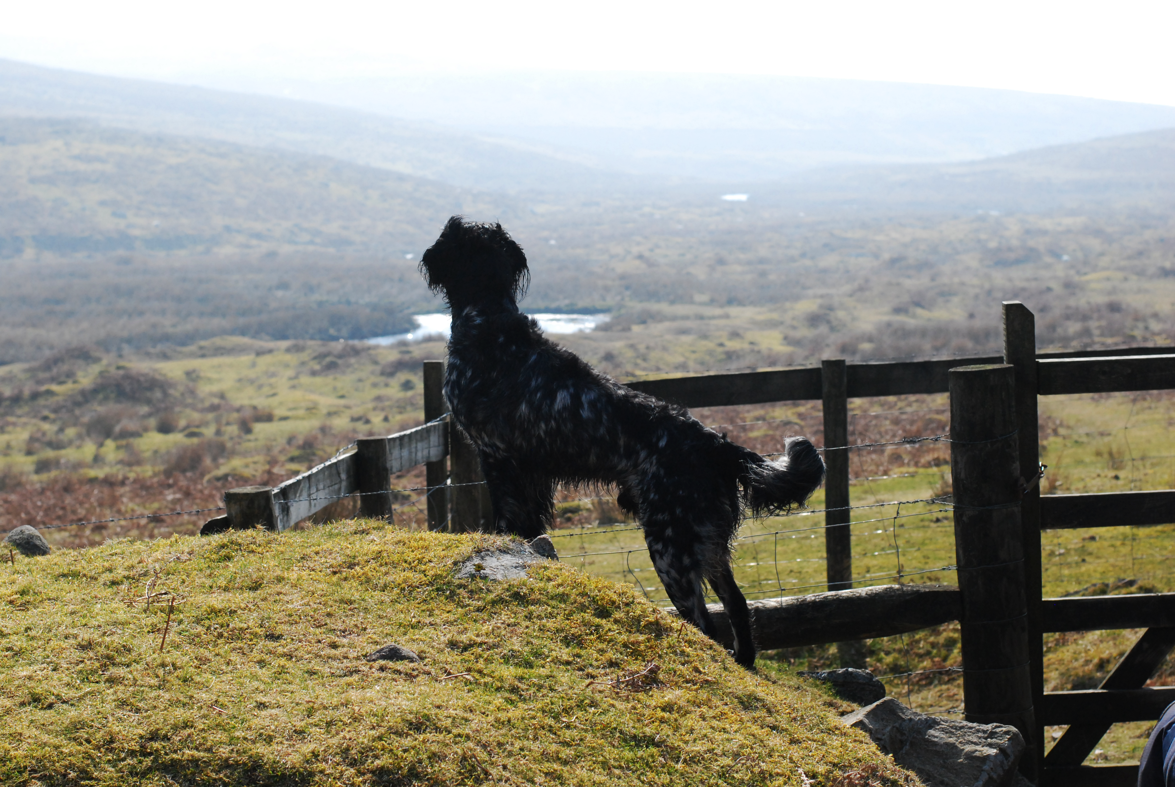 Surveying his kingdom