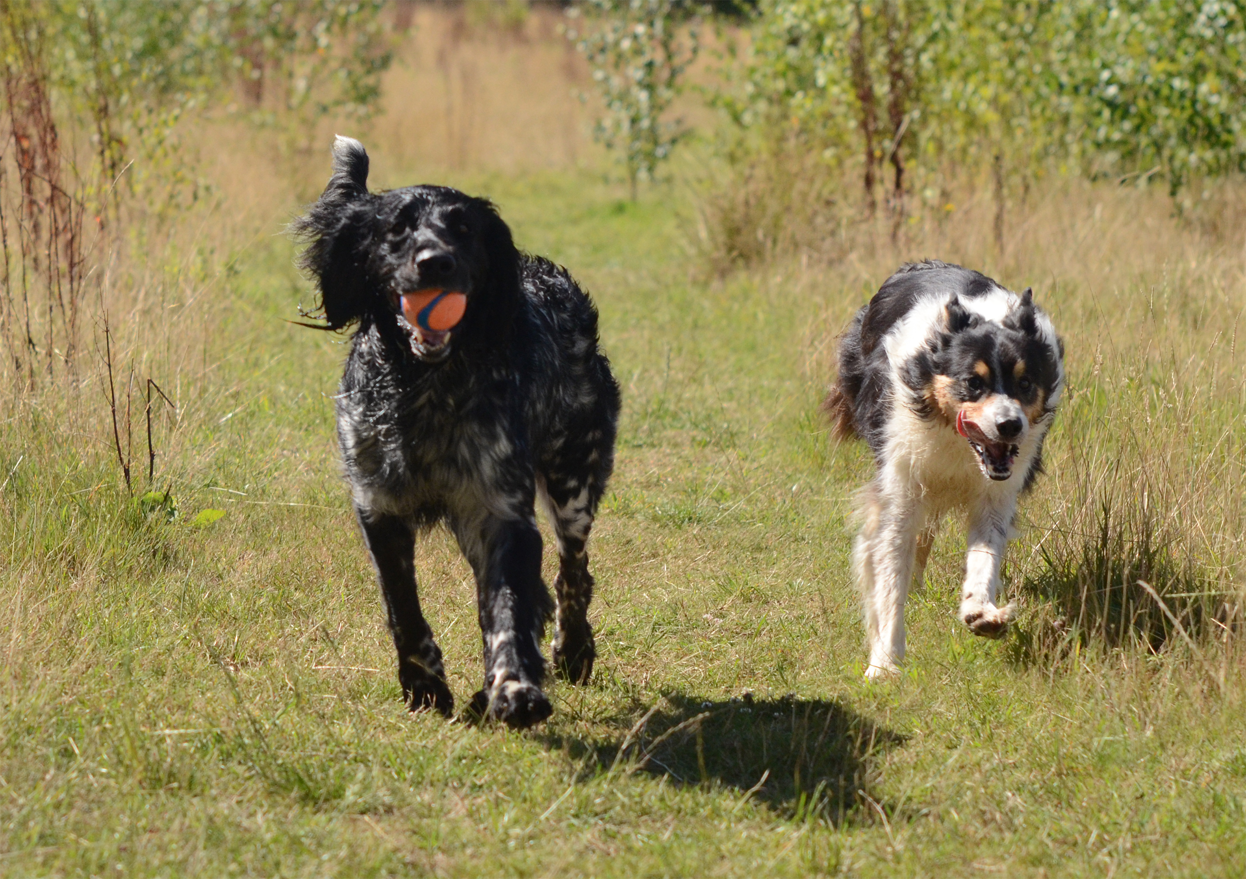 Rookie and 'brother' Riki