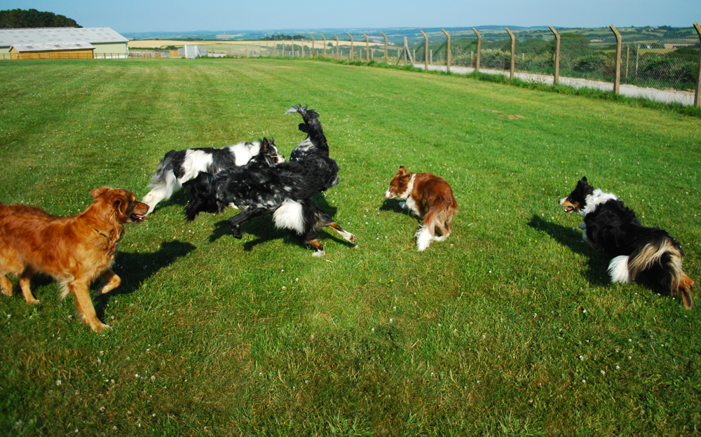 Run Around!