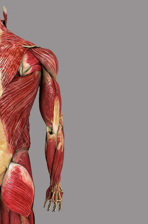 Cl Medical Glasgow Corelab So if you're a filthy horta, data's your bestest bet cm fm g cm. cl medical glasgow corelab