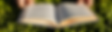 Emp.png