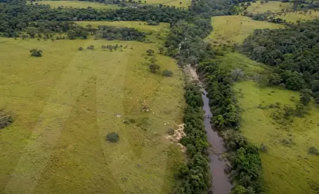 Produtor rural analisando APP como pastagem no CAR em fazenda com área de preservação permanente.