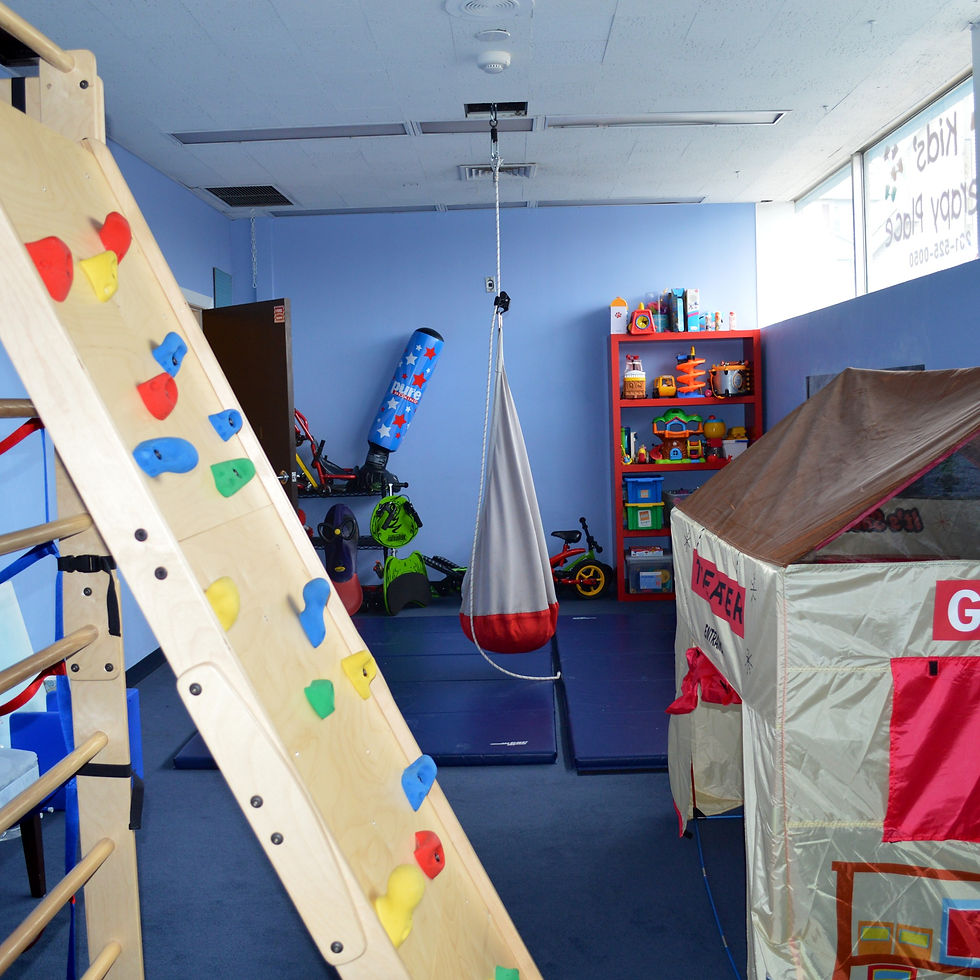 Small Sensory Gym