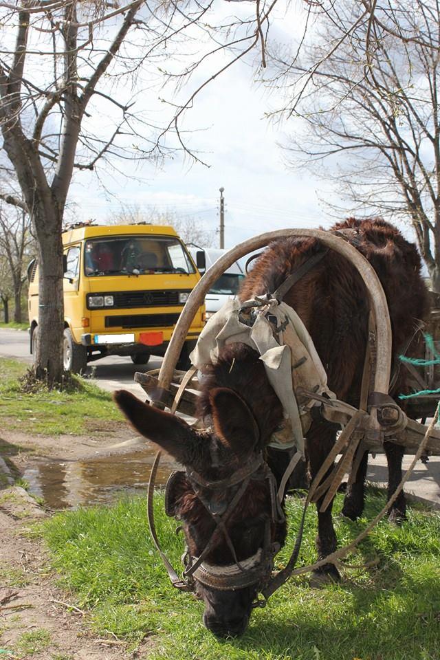 Bulgaria