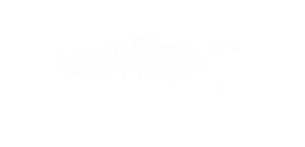 Wahiki background (10)_edited.png