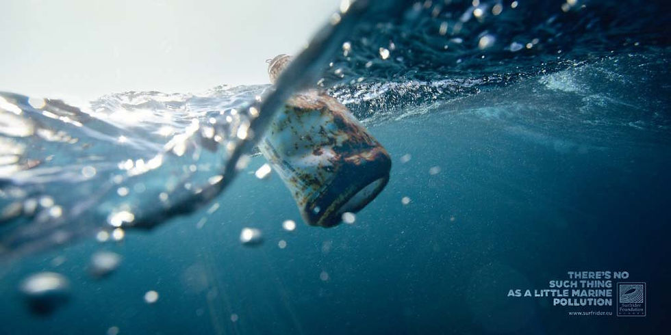 surfrider-protection-des-oceans.jpeg