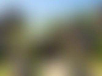 Welcoming the Summer Glow: A Season of Vibrant Events