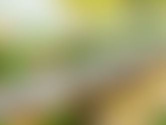 Embracing Versatility: A Journey in Creating Unique Event Experiences