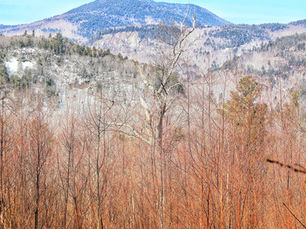 Boulder Loop Trail near Conway, NH