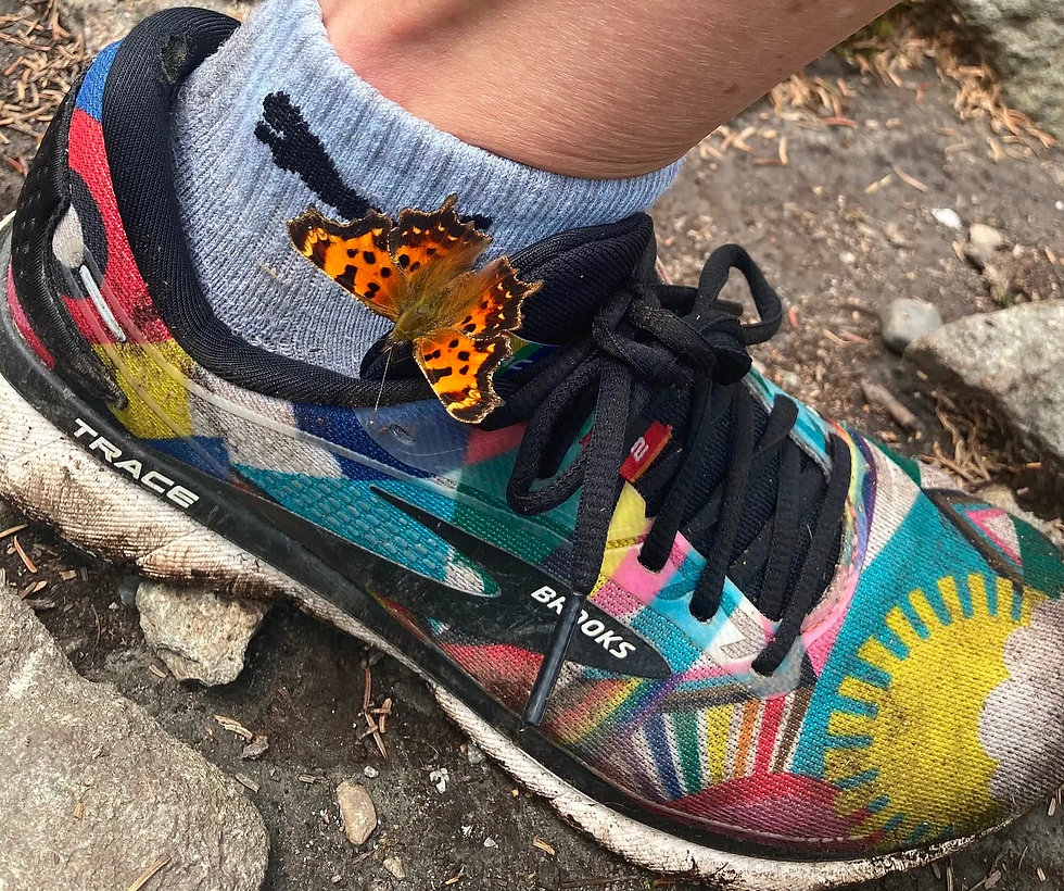 A “Bubbefly” that landed on my sneaker at the summit, then stayed a while.