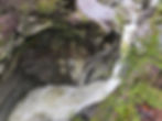 Glacially carved gorge on the Mill Trail to Bingham Falls in Stowe, VT