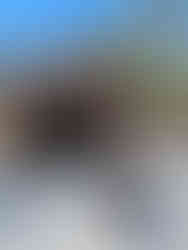 Man and dog walking towards the Albany Covered Bridge near Conway, NH.