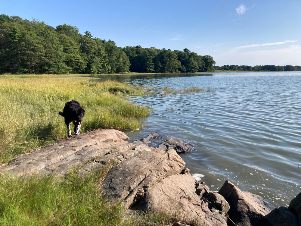 Maquoit Bay Conservation Trail Brunswick maquoit-bay-conservation-trail-brunswick