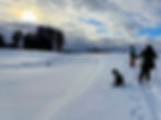 Two women and a dog skiing while a boy is sledding in the background at Riverside Golf Course in Portland, Maine.