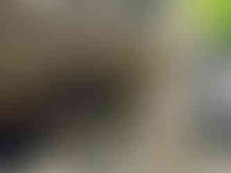Boy standing inside rock wall at the Champney Falls Trail in White Mountain National Park.