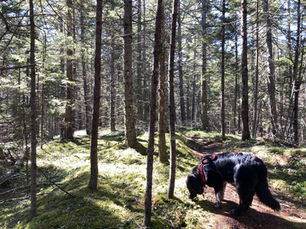 Hackett & Minot Trails, Harpswell