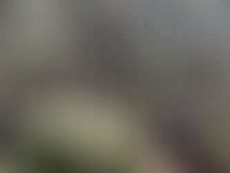 Hackett & Minot Trails, Harpswell